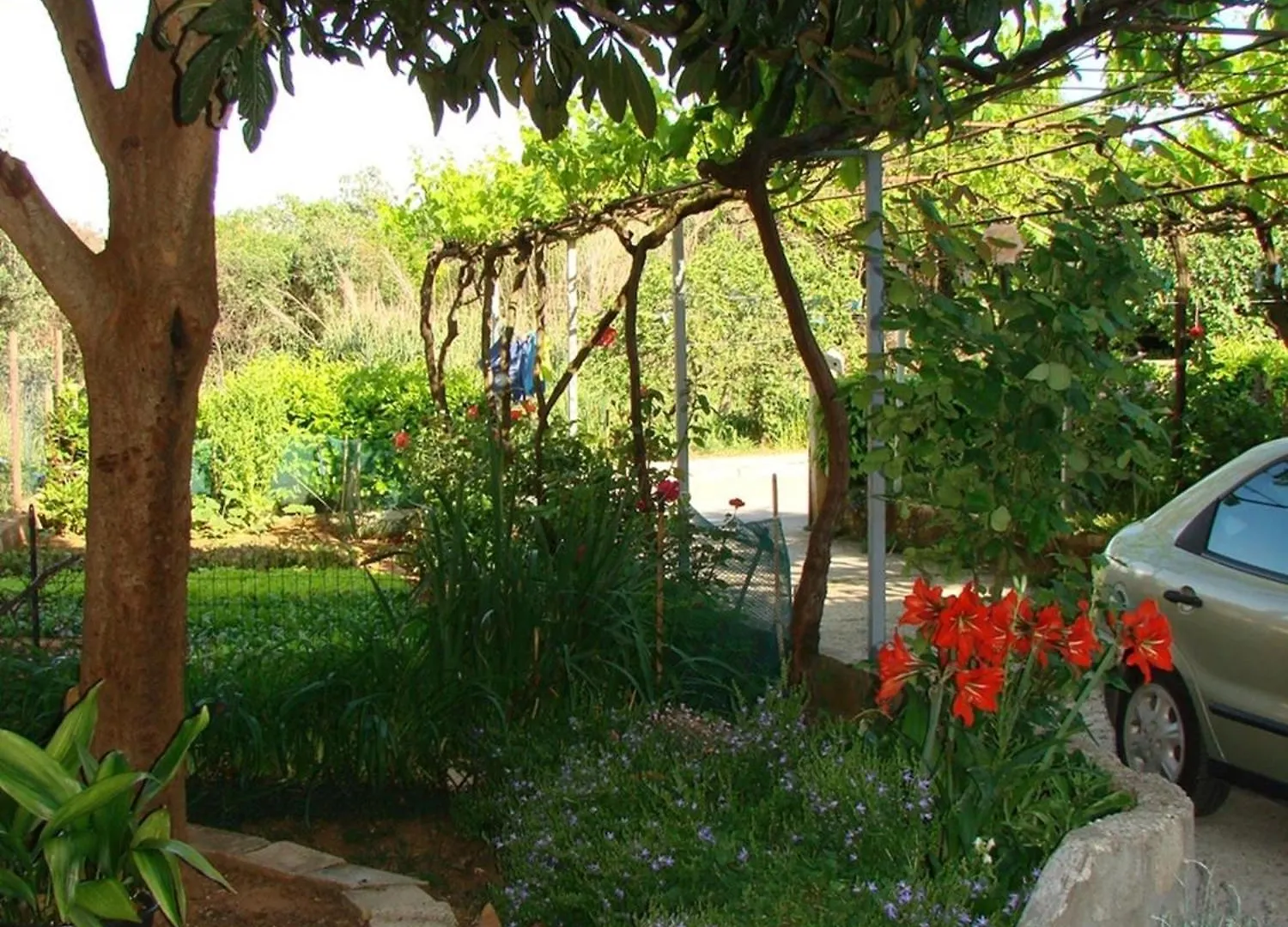 Apartment Milena