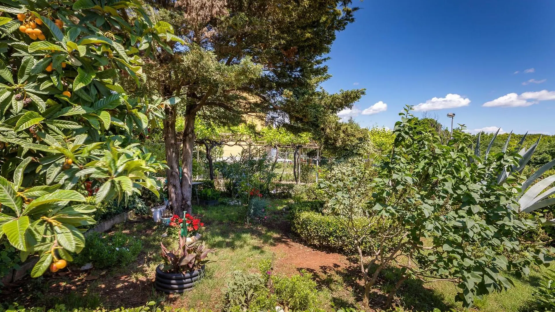 Apartment Milena Croatia