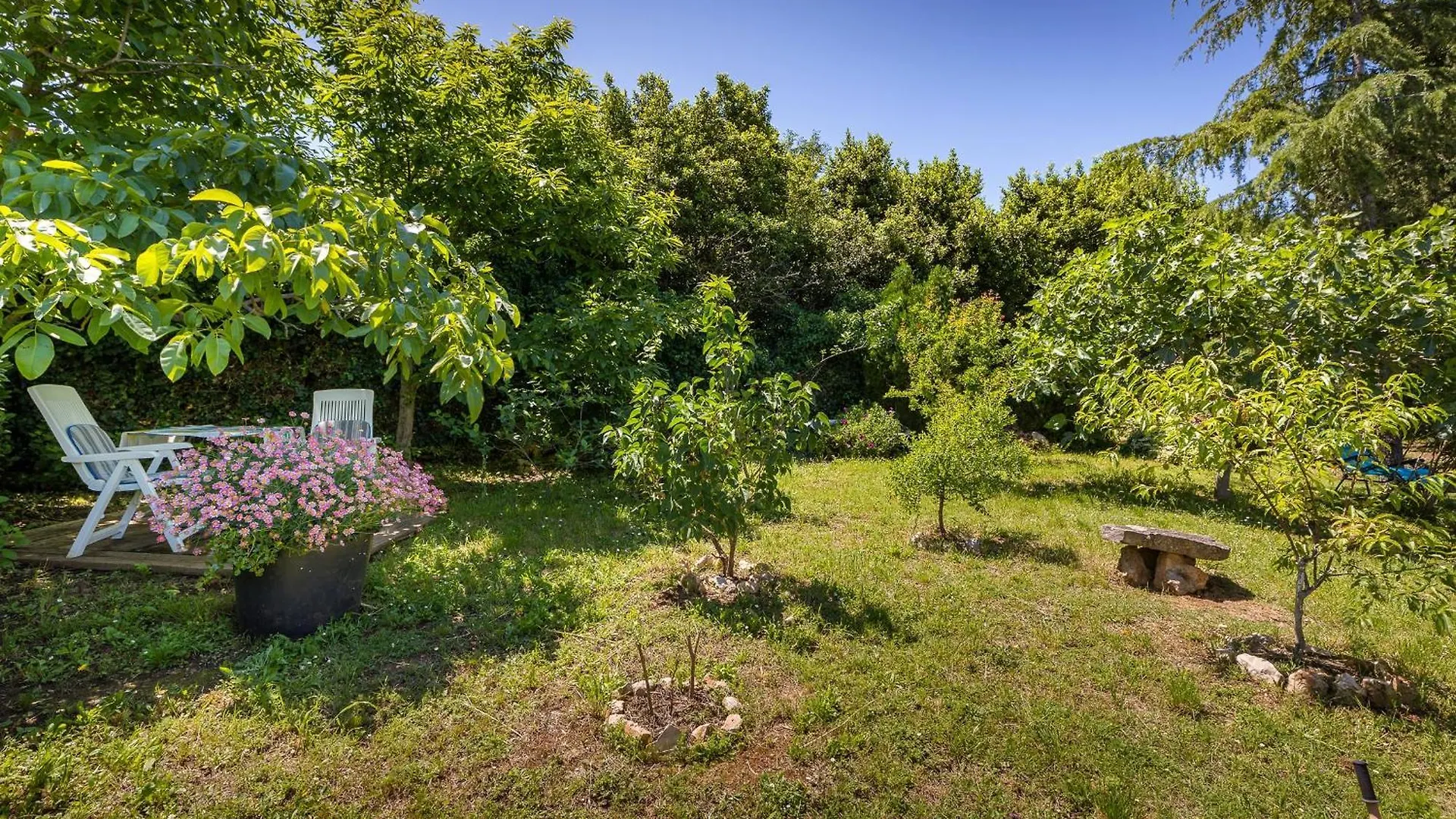 Apartment Milena 0*, Pula